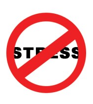 CAIC_stressfree1_120209_feature