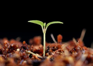 ???????????????????????????????????????????????????????????????????????????????????